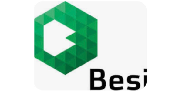 Besi Vietnam Co. Ltd. logo