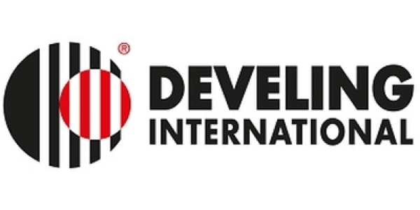 Develing International logo