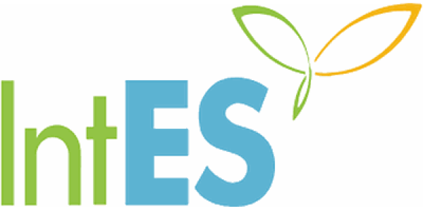 IntES Engineering Solutions logo